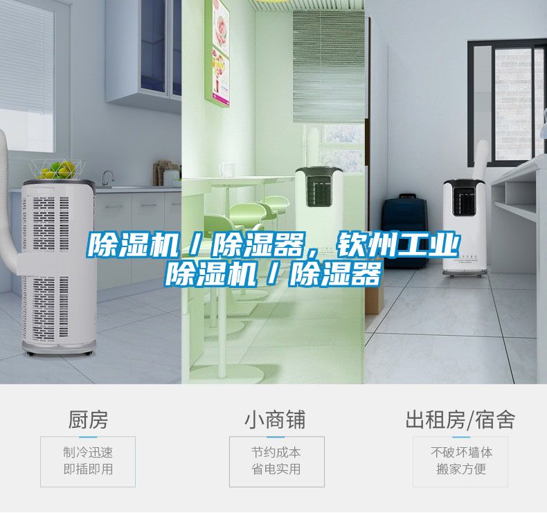 除濕機(jī)／除濕器，欽州工業(yè)除濕機(jī)／除濕器