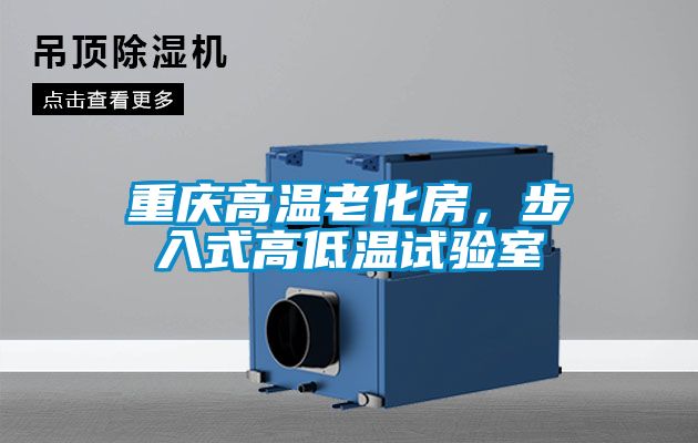 重慶高溫老化房，步入式高低溫試驗(yàn)室