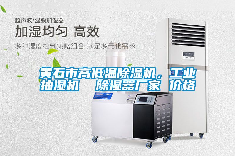 黃石市高低溫除濕機，工業(yè)抽濕機  除濕器廠家 價格