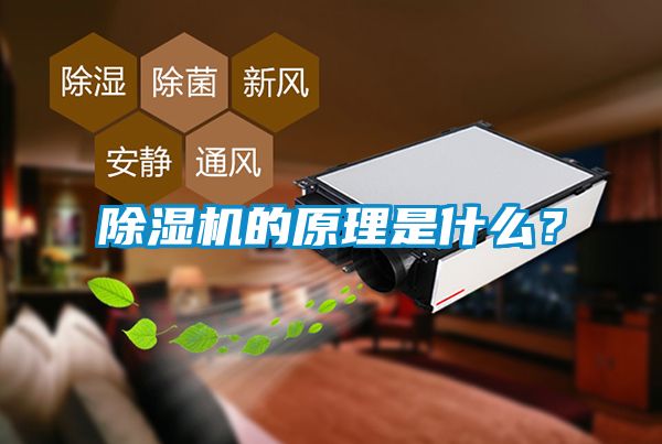 除濕機(jī)的原理是什么？