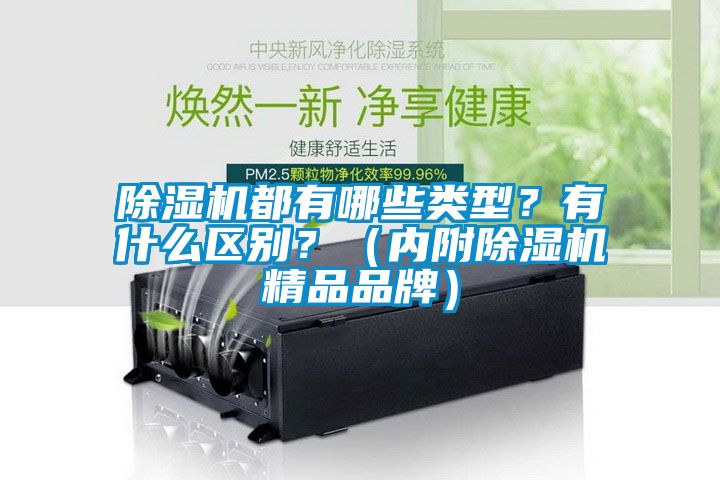 除濕機(jī)都有哪些類型？有什么區(qū)別？（內(nèi)附除濕機(jī)精品品牌）