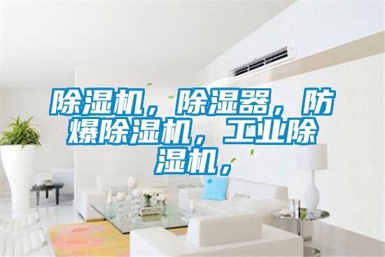 除濕機，除濕器，防爆除濕機，工業(yè)除濕機，