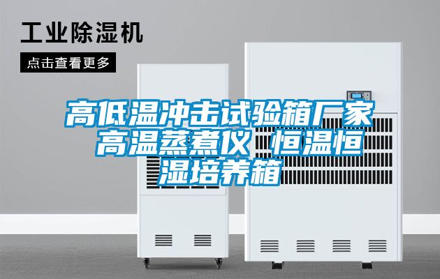 高低溫沖擊試驗箱廠家 高溫蒸煮儀 恒溫恒濕培養(yǎng)箱