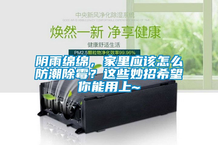 陰雨綿綿，家里應(yīng)該怎么防潮除霉？這些妙招希望你能用上~