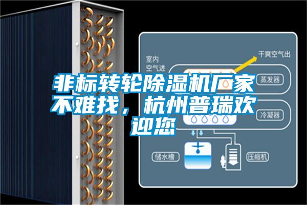 非標轉(zhuǎn)輪除濕機廠家不難找，杭州普瑞歡迎您