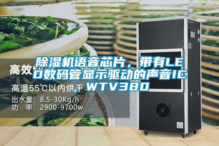 除濕機語音芯片，帶有LED數(shù)碼管顯示驅(qū)動的聲音IC，WTV380