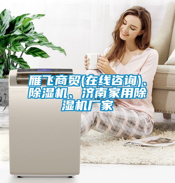 雁飛商貿(mào)(在線咨詢)、除濕機、濟南家用除濕機廠家