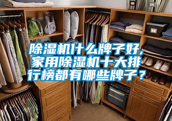 除濕機(jī)什么牌子好,家用除濕機(jī)十大排行榜都有哪些牌子？