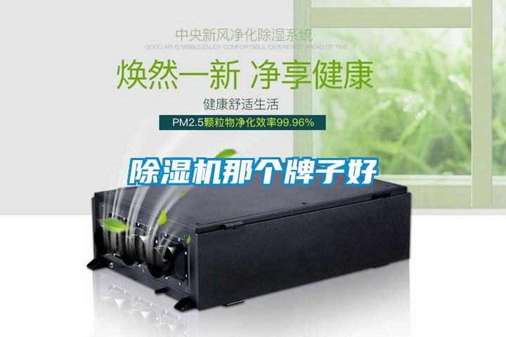 除濕機(jī)那個(gè)牌子好