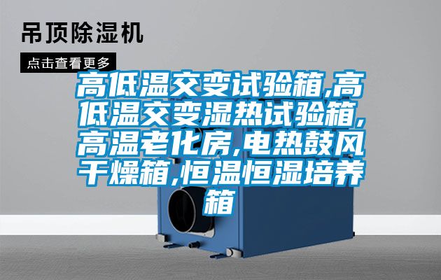 高低溫交變試驗箱,高低溫交變濕熱試驗箱,高溫老化房,電熱鼓風(fēng)干燥箱,恒溫恒濕培養(yǎng)箱