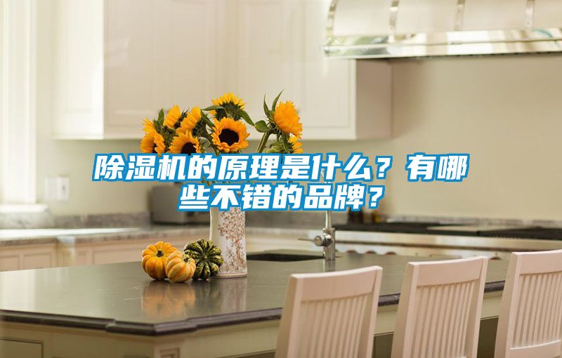 除濕機(jī)的原理是什么？有哪些不錯(cuò)的品牌？