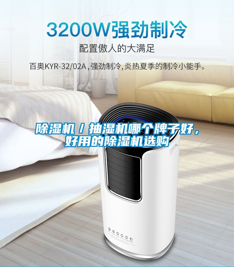 除濕機／抽濕機哪個牌子好，好用的除濕機選購