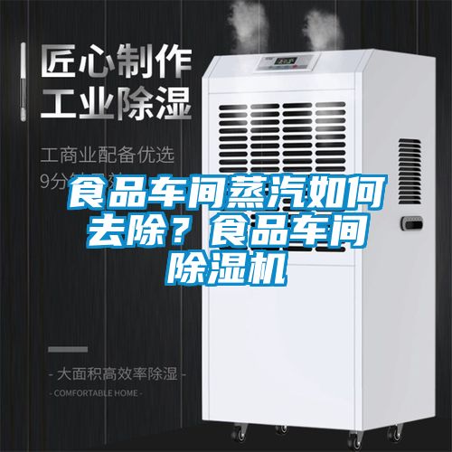 食品車間蒸汽如何去除？食品車間除濕機