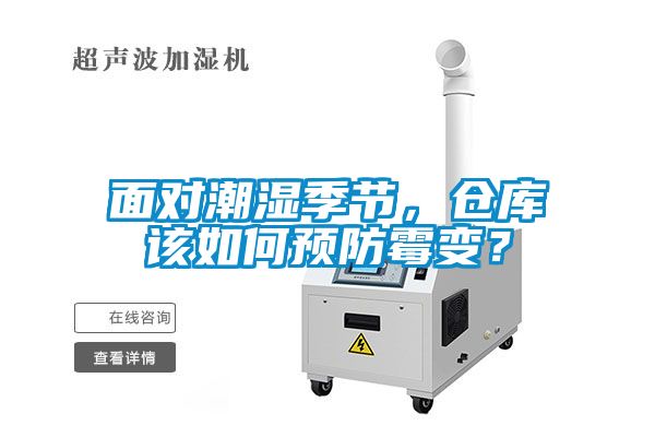 面對潮濕季節(jié)，倉庫該如何預防霉變？