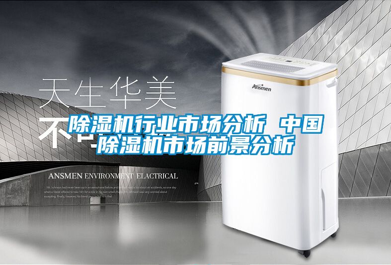 除濕機(jī)行業(yè)市場分析 中國除濕機(jī)市場前景分析
