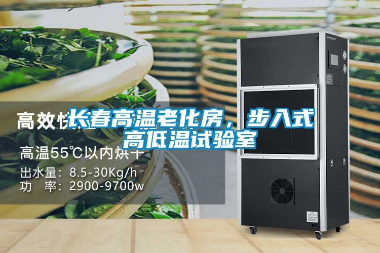長春高溫老化房，步入式高低溫試驗室