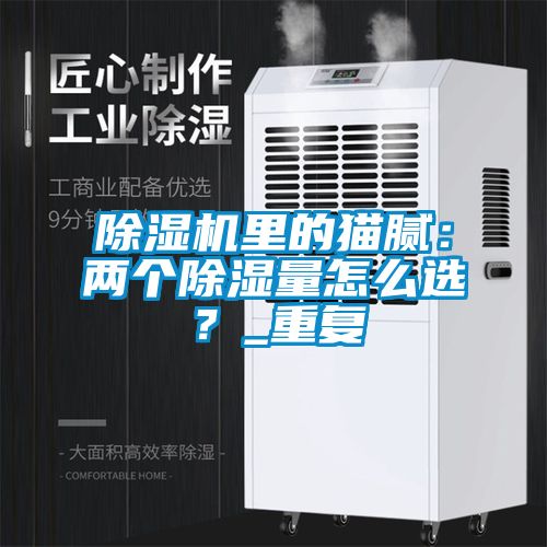 除濕機(jī)里的貓膩：兩個(gè)除濕量怎么選？_重復(fù)