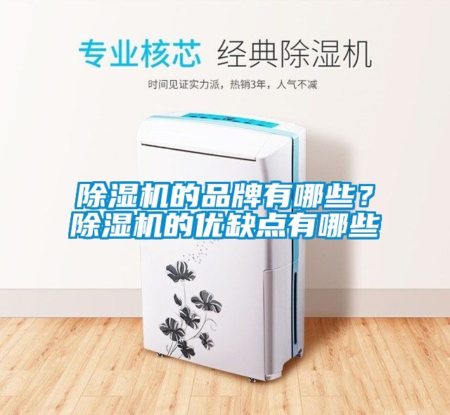 除濕機(jī)的品牌有哪些？除濕機(jī)的優(yōu)缺點(diǎn)有哪些