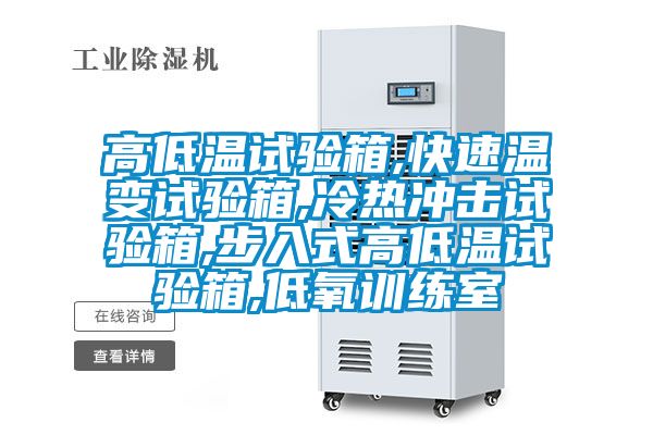 高低溫試驗(yàn)箱,快速溫變試驗(yàn)箱,冷熱沖擊試驗(yàn)箱,步入式高低溫試驗(yàn)箱,低氧訓(xùn)練室