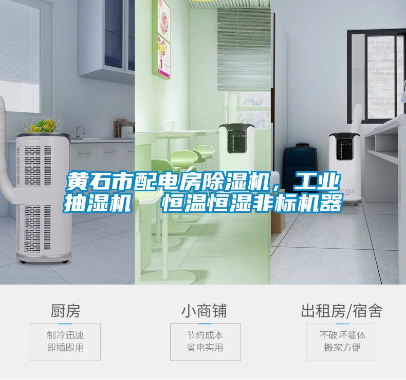 黃石市配電房除濕機(jī)，工業(yè)抽濕機(jī)  恒溫恒濕非標(biāo)機(jī)器