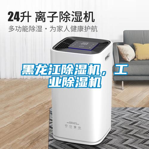 黑龍江除濕機(jī)，工業(yè)除濕機(jī)