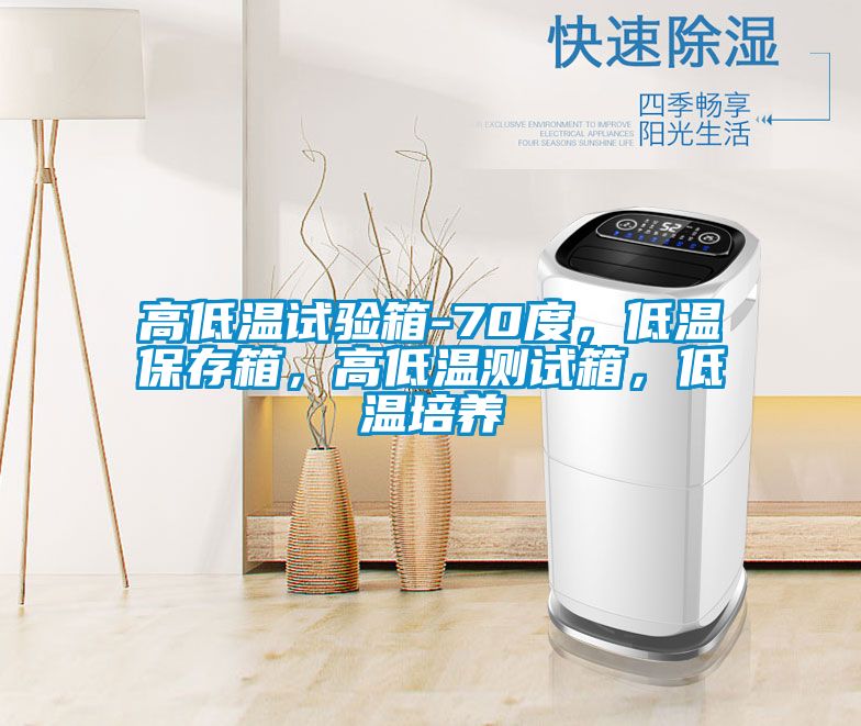高低溫試驗(yàn)箱-70度，低溫保存箱，高低溫測試箱，低溫培養(yǎng)