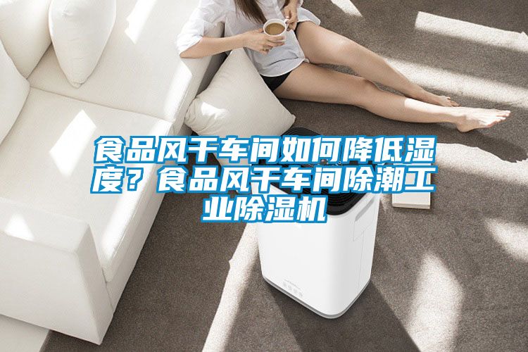食品風(fēng)干車間如何降低濕度？食品風(fēng)干車間除潮工業(yè)除濕機(jī)