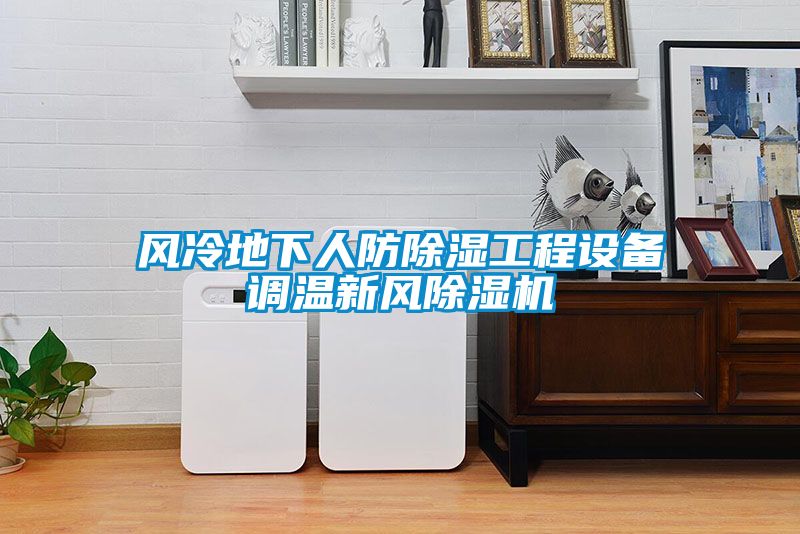 風(fēng)冷地下人防除濕工程設(shè)備調(diào)溫新風(fēng)除濕機(jī)